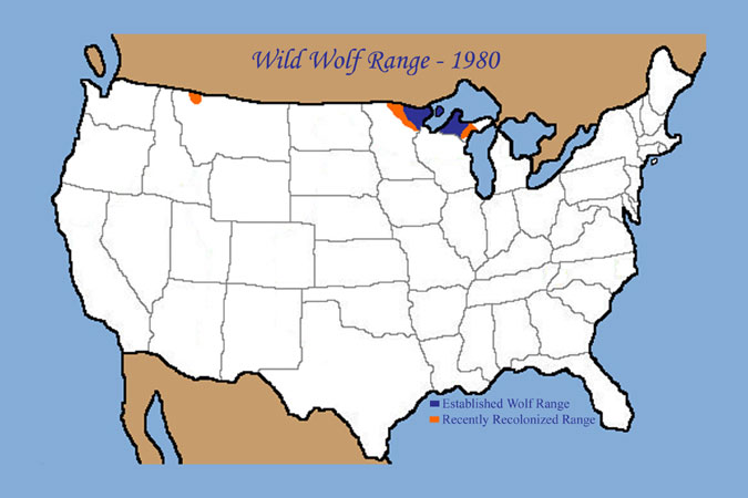 Wild Wolf Range - 1980