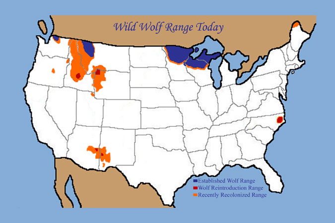 Wild Wolf Range - 2009